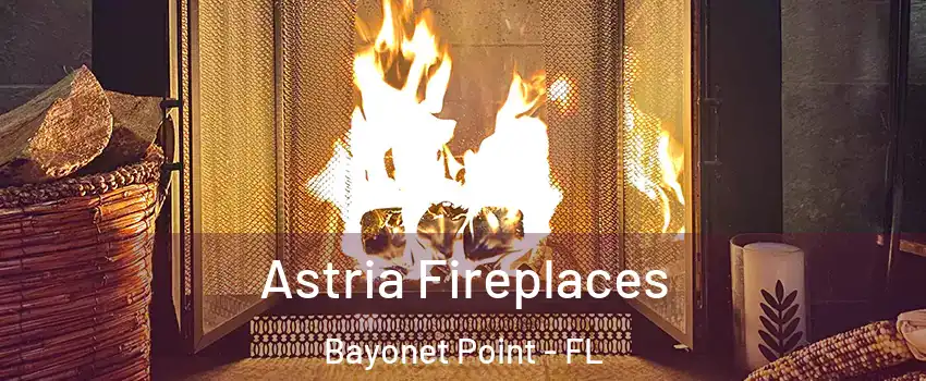  Astria Fireplaces Bayonet Point - FL