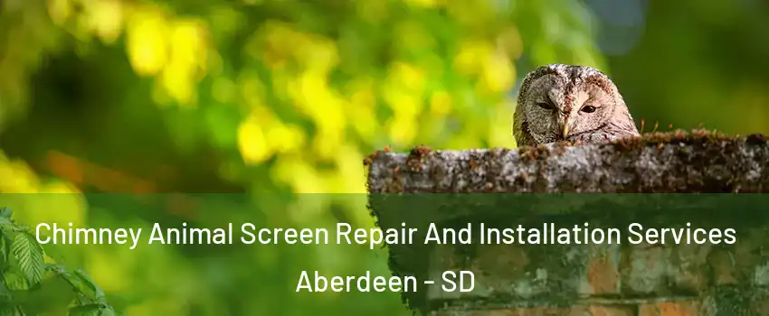 Chimney Animal Screen Repair And Installation Services Aberdeen - SD