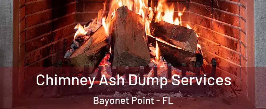  Chimney Ash Dump Services Bayonet Point - FL