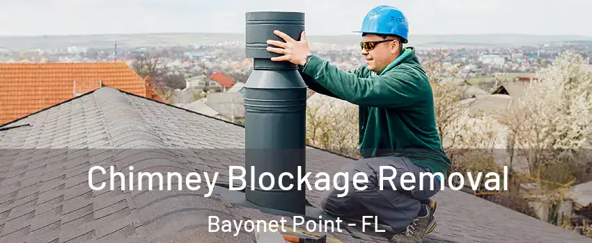  Chimney Blockage Removal Bayonet Point - FL