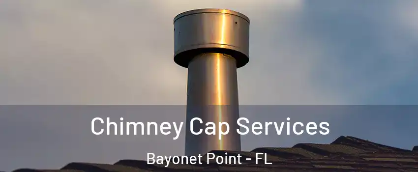  Chimney Cap Services Bayonet Point - FL