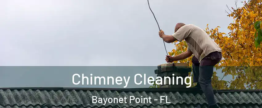  Chimney Cleaning Bayonet Point - FL