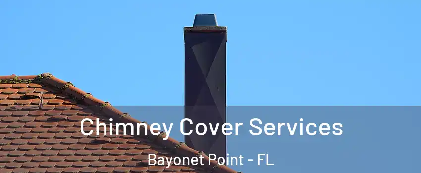  Chimney Cover Services Bayonet Point - FL