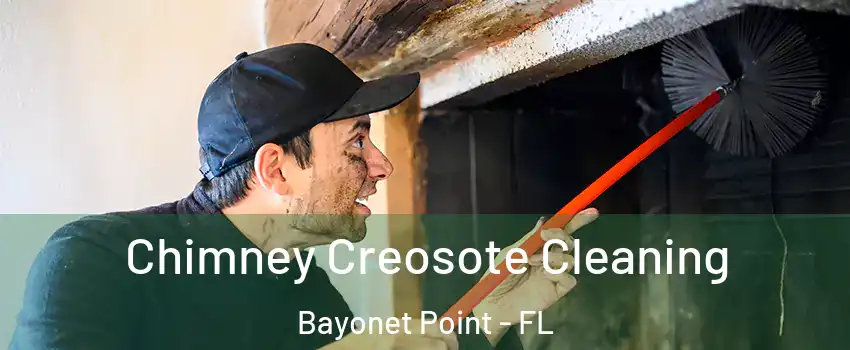  Chimney Creosote Cleaning Bayonet Point - FL