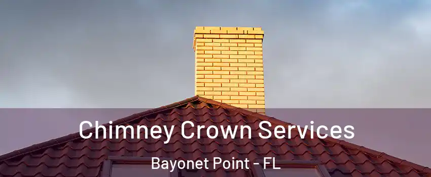  Chimney Crown Services Bayonet Point - FL