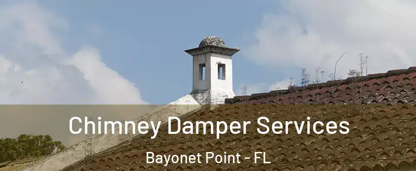  Chimney Damper Services Bayonet Point - FL