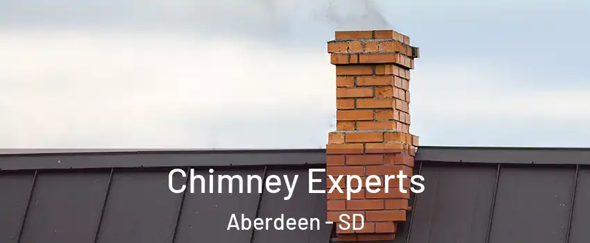  Chimney Experts Aberdeen - SD
