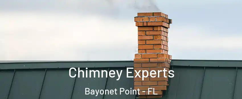  Chimney Experts Bayonet Point - FL