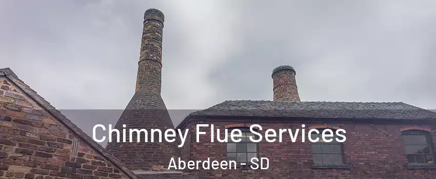 Chimney Flue Services Aberdeen - SD