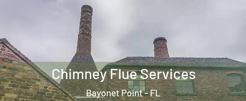 Chimney Flue Services Bayonet Point - FL