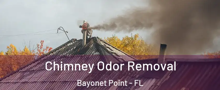 Chimney Odor Removal Bayonet Point - FL