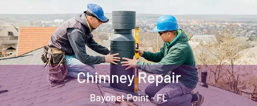  Chimney Repair Bayonet Point - FL