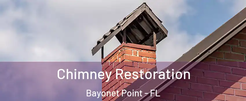  Chimney Restoration Bayonet Point - FL