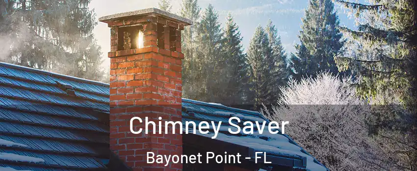  Chimney Saver Bayonet Point - FL