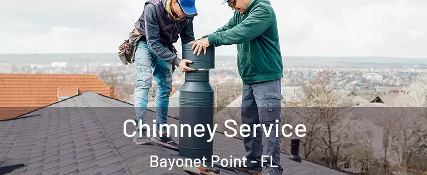  Chimney Service Bayonet Point - FL