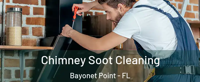  Chimney Soot Cleaning Bayonet Point - FL