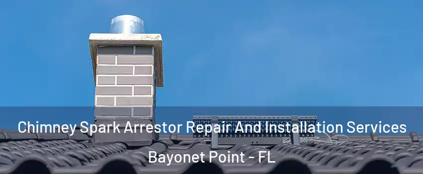  Chimney Spark Arrestor Repair And Installation Services Bayonet Point - FL