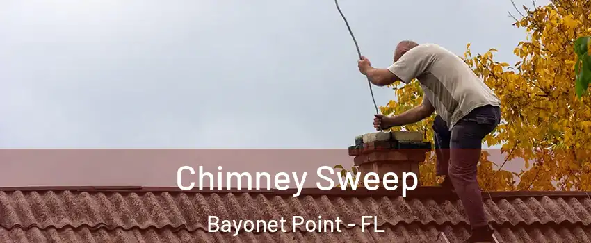  Chimney Sweep Bayonet Point - FL