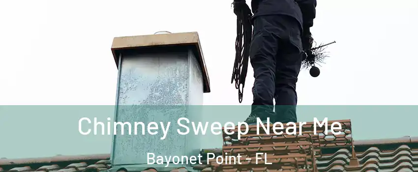  Chimney Sweep Near Me Bayonet Point - FL