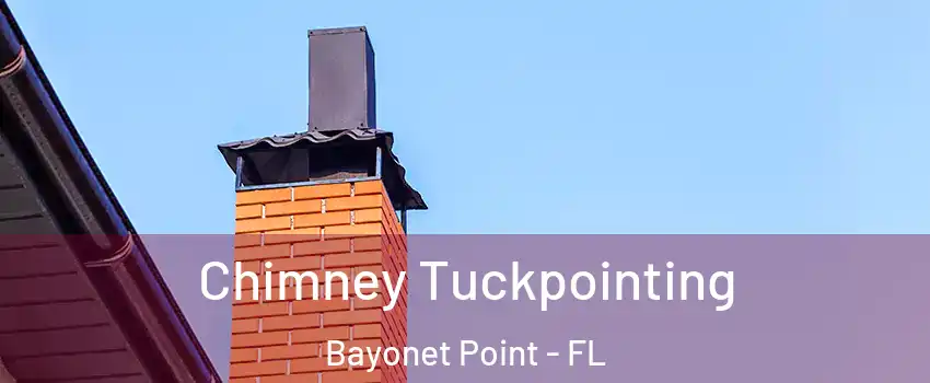  Chimney Tuckpointing Bayonet Point - FL