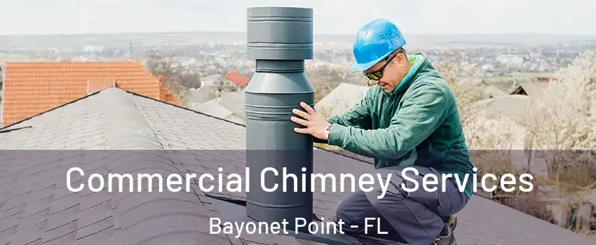  Commercial Chimney Services Bayonet Point - FL
