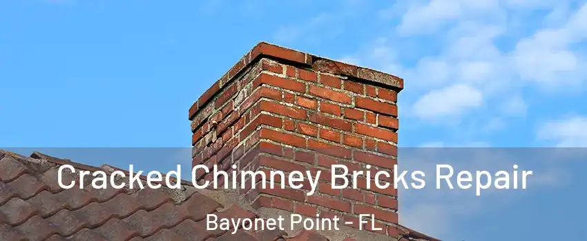  Cracked Chimney Bricks Repair Bayonet Point - FL
