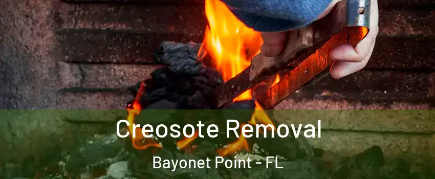  Creosote Removal Bayonet Point - FL