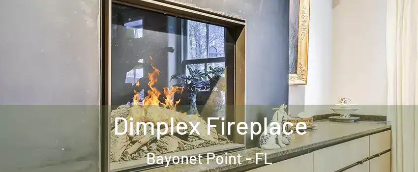  Dimplex Fireplace Bayonet Point - FL