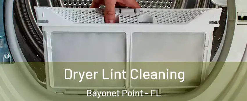  Dryer Lint Cleaning Bayonet Point - FL