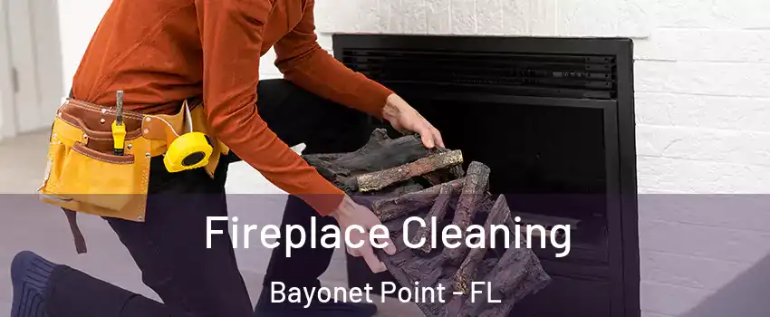  Fireplace Cleaning Bayonet Point - FL