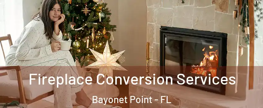  Fireplace Conversion Services Bayonet Point - FL