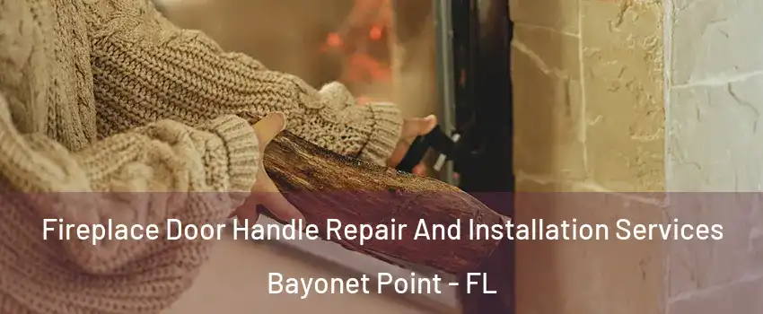  Fireplace Door Handle Repair And Installation Services Bayonet Point - FL