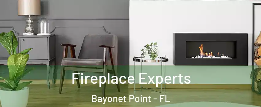  Fireplace Experts Bayonet Point - FL