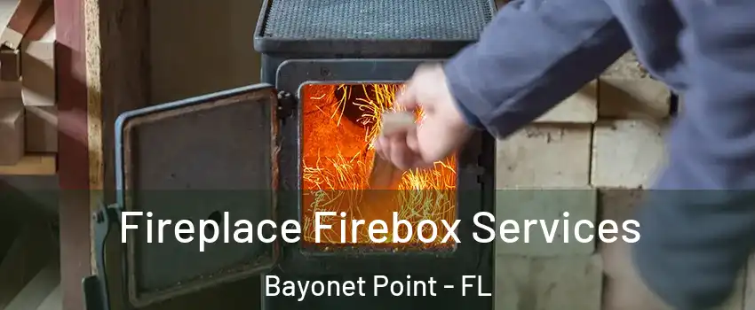  Fireplace Firebox Services Bayonet Point - FL