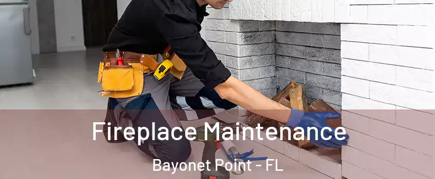  Fireplace Maintenance Bayonet Point - FL