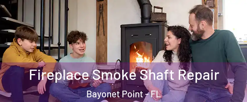  Fireplace Smoke Shaft Repair Bayonet Point - FL