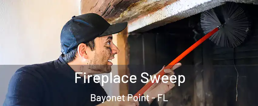  Fireplace Sweep Bayonet Point - FL