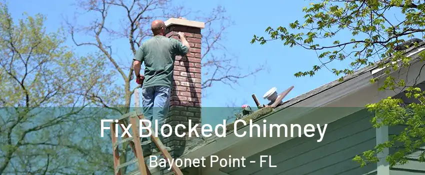  Fix Blocked Chimney Bayonet Point - FL
