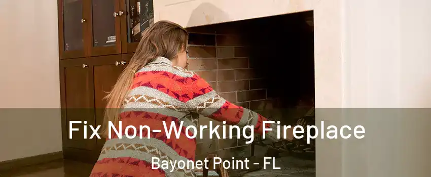  Fix Non-Working Fireplace Bayonet Point - FL