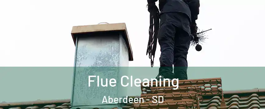 Flue Cleaning Aberdeen - SD