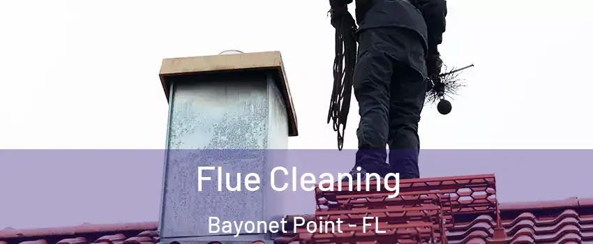  Flue Cleaning Bayonet Point - FL