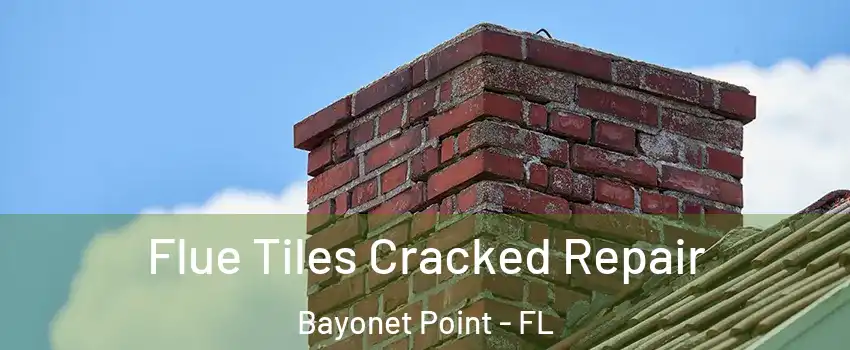  Flue Tiles Cracked Repair Bayonet Point - FL