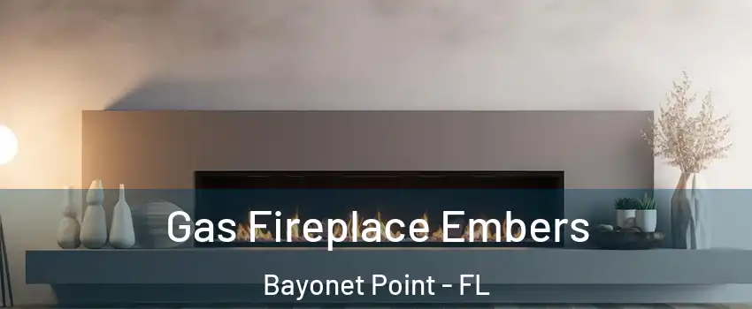  Gas Fireplace Embers Bayonet Point - FL