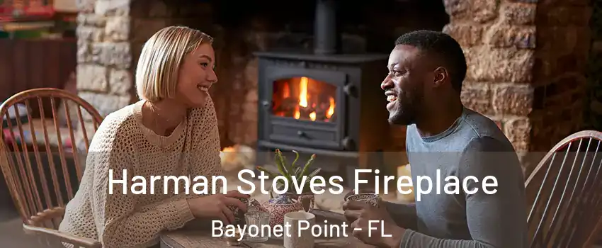  Harman Stoves Fireplace Bayonet Point - FL