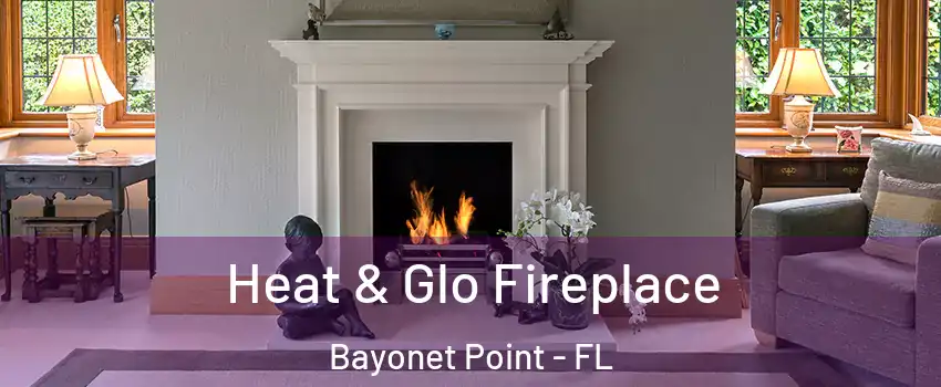  Heat & Glo Fireplace Bayonet Point - FL