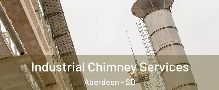 Industrial Chimney Services Aberdeen - SD