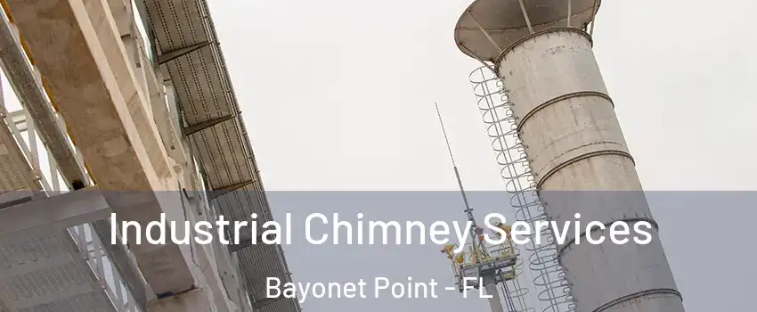  Industrial Chimney Services Bayonet Point - FL