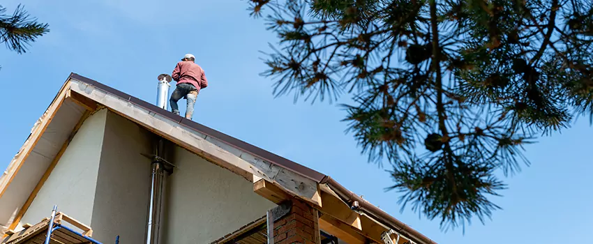 Birds Removal Contractors from Chimney in Aberdeen, SD