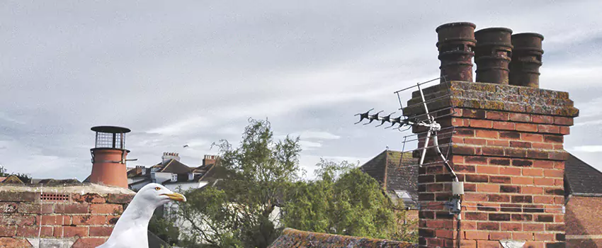 Chimney Cleaning And Restoration in Aberdeen, South Dakota