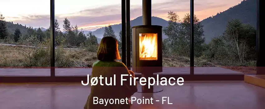  Jøtul Fireplace Bayonet Point - FL